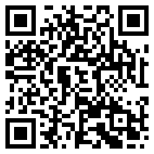 QR Code for It Support in Saint Petersburg, FL 33702