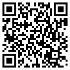 QR Code for Video Art in Lakeland, FL 33815