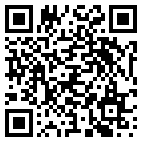 QR Code for The Web Guys in Carmel, IN 46032