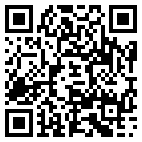 QR Code for Holt Auto Sales in Dimondale, MI 48821