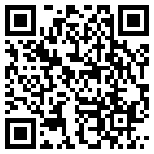 QR Code for Remlo Group in Rochester, MN 55901