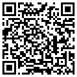 QR Code for Northern Light Gallery in Battle Lake, MN 56515