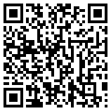 QR Code for The Video Game Outlet in Silver City, NM 88061