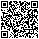 QR Code for The Alternative in Silverpeak, NV 89047