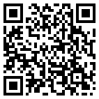 QR Code for Techstrips in CARSON CITY, NV 89703