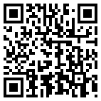 QR Code for Rays Auto Svc in High Falls, NY 12440