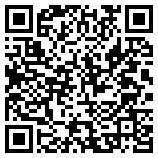 QR Code for Neteam Solutions in Woodside, NY 11377