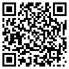 QR Code for Gemini Travel in Webster, NY 14580