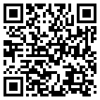 QR Code for Punk's Place in Candor, NY 13743