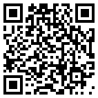 QR Code for Punch SEO in Buffalo, NY 14216