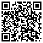 QR Code for The Next Level in Bridge City, TX 77611