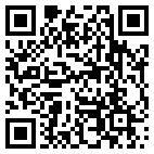 QR Code for Netique Ltd in Herndon, VA 20170